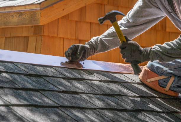 Best Roof Leak Repair  in Lakeview, OH