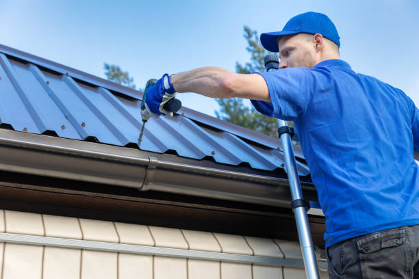 Best Storm Damage Roof Repair  in Lakeview, OH