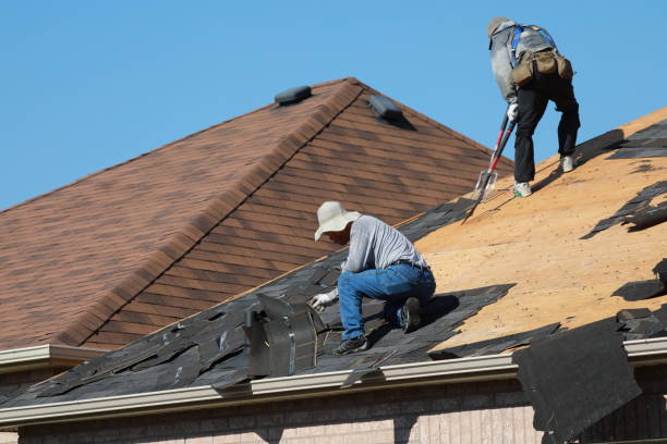 Best Roof Waterproofing  in Lakeview, OH