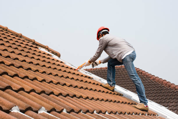 Best Metal Roofing Installation  in Lakeview, OH