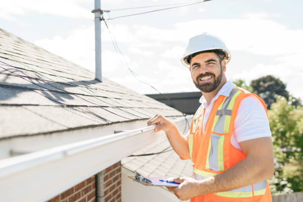 Best Roof Moss and Algae Removal  in Lakeview, OH